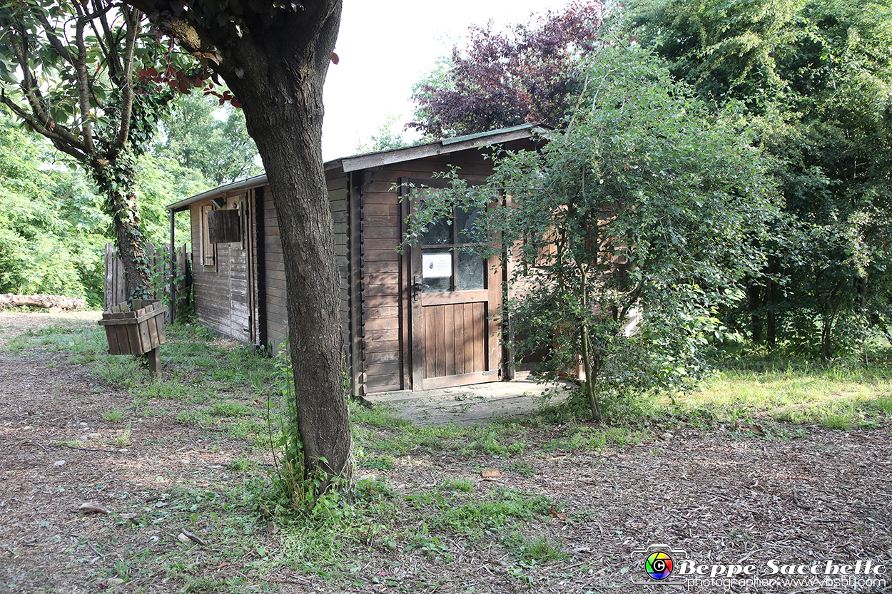 VBS_9464 - A spasso per Tigliole 2025 - Nona edizione.jpg